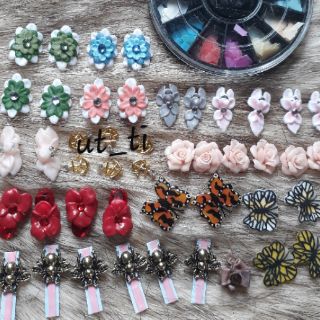 bướm bột nail