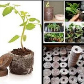 COMBO 100 viên nén ươm hạt - viên nén xơ dừa