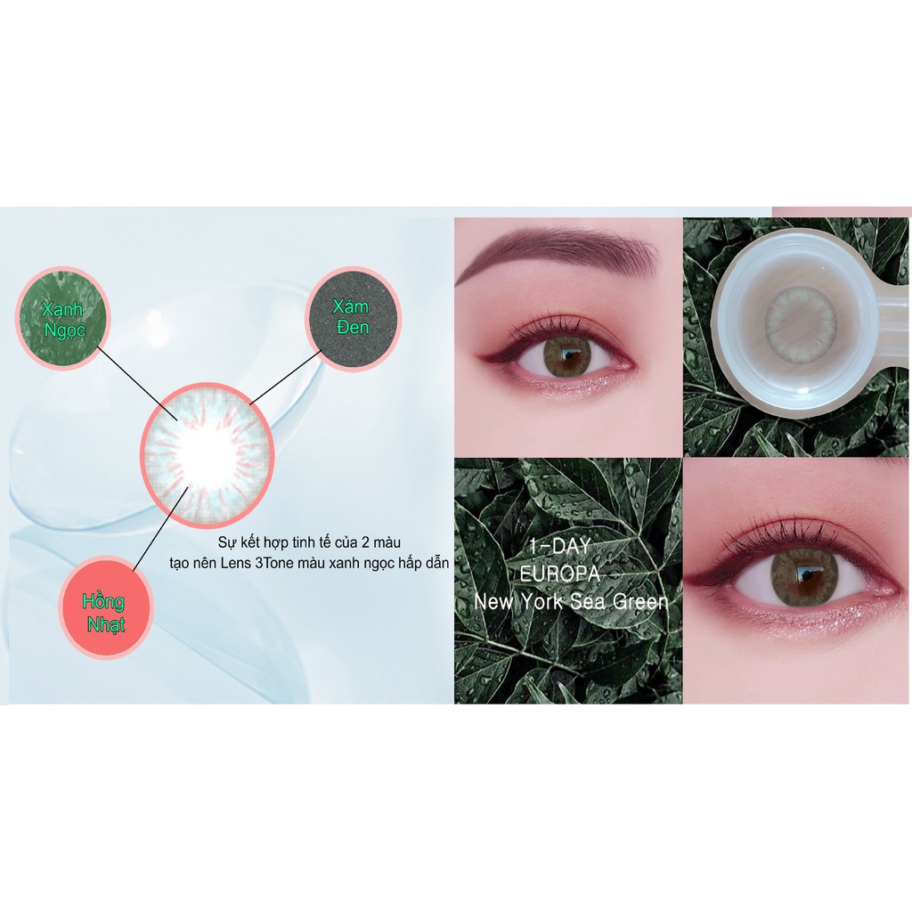 Kính áp tròng màu Seagreen Không độ dùng 1 ngày Qeye Lens Hàn Quốc