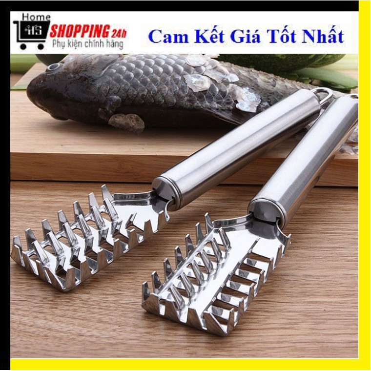 Dụng cụ đánh vảy cá tay cầm inox loại dày chắc chắn