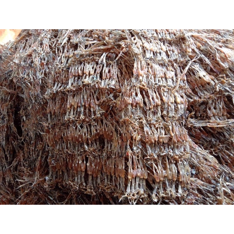 KHÔ NHÁI CƠM_VŨ NỮ CHÂN DÀI