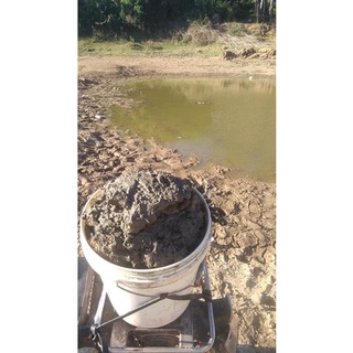 Bùn Trồng Hoa sen hoa súng 1kg