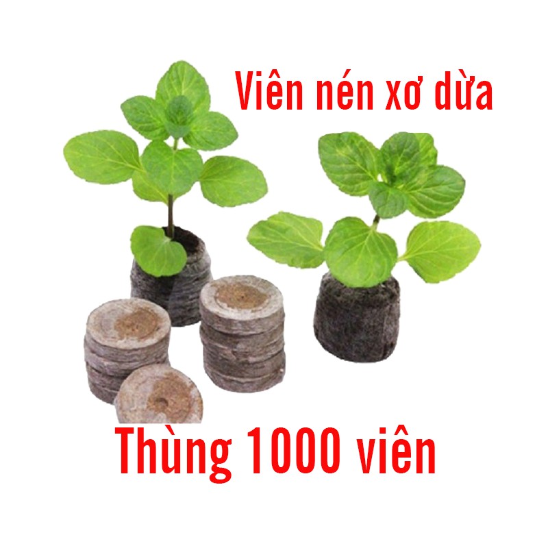 (Thùng 1000 viên) Viên Nén Xơ Dừa Ươm Hạt Giống Tiện Lợi, Giúp Nảy Mầm Tốt, Tiện Dụng, Tiết Kiệm thời gian