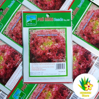 Hạt giống xà lách tím lollo rossa pn - gói 2g