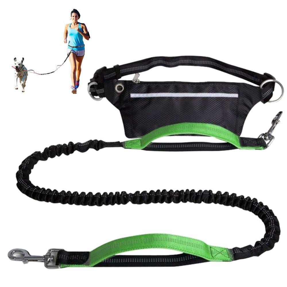 [COD] Dây Dắt Thú Cưng Đi Dạo Bằng Nilon Tùy Chỉnh Tiện Dụng Cho Cún Cưng