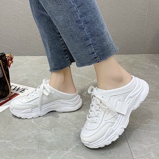  SỤC LÁ ĐỘN ĐẾ 3-4PHÂN HÀNG ĐẸP