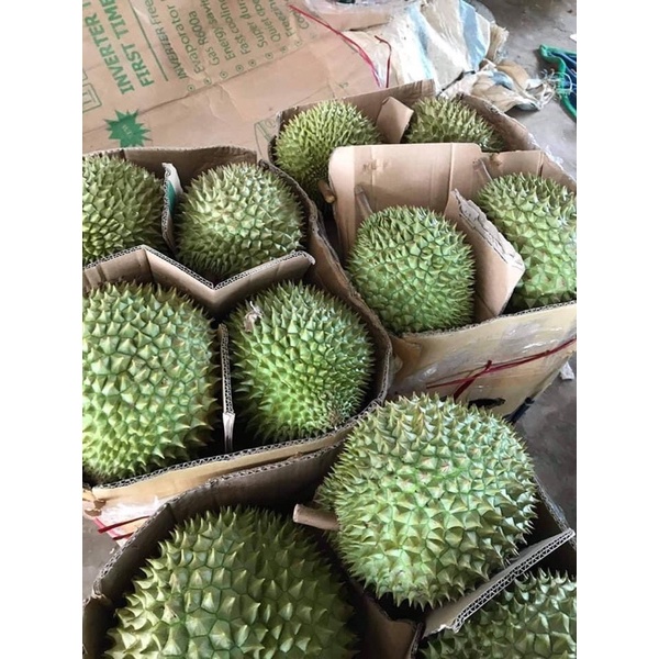 Sầu Riêng 6 Ri ( Cơm Sầu Riêng)