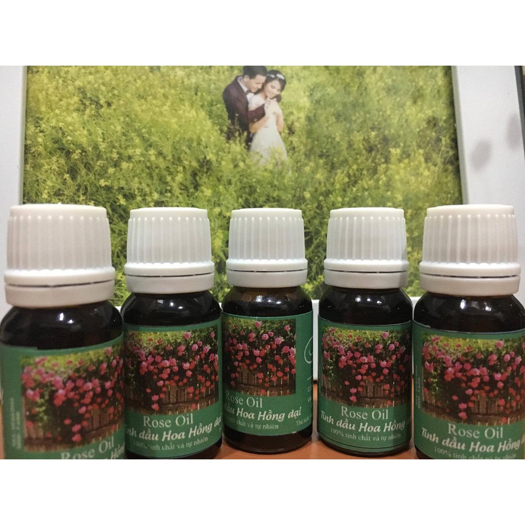 Tinh dầu hoa hồng dại Rose Oil