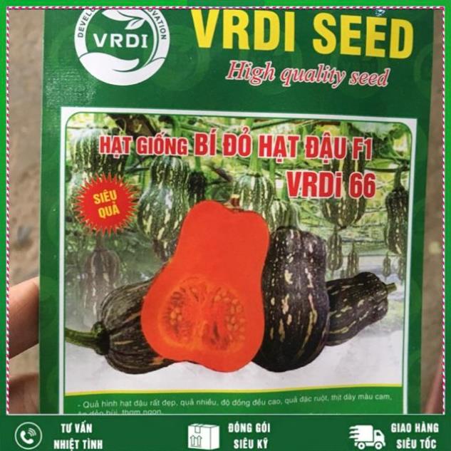 Hạt giống bí đỏ siêu quả F1 VTNN NHẤT VIỆT