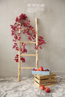 Dây 2 mét trái đỏ cherry (đào đông)