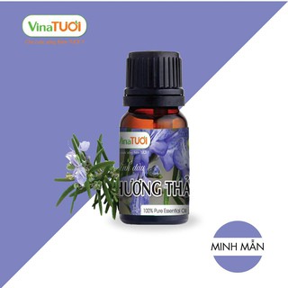 Tinh Dầu Hương Thảo Nguyên Chất Vina Tươi 10ml - Giúp Tinh Thần Minh Mẫn