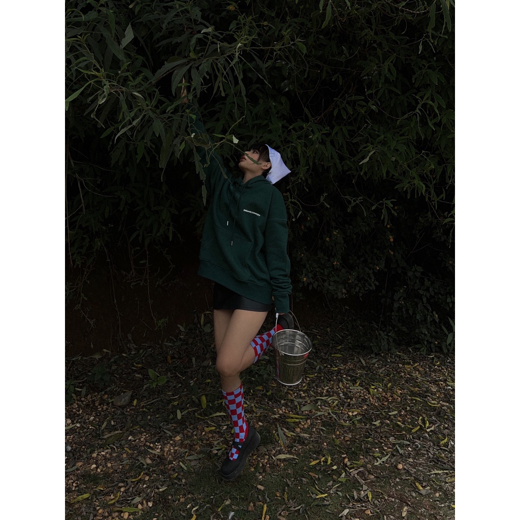 CTF1-Dreamiz Hoodie DCSG - 100% Cotton - Local Brand Chính Hãng