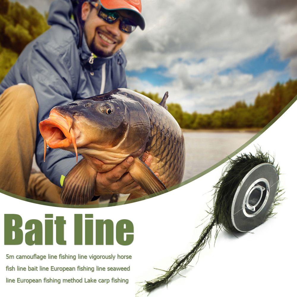 Taylor1 Cuộn Dây Câu Cá Chép Dạng Cỏ Sống Động Như Thật Phụ Kiện Câu Cá Chép