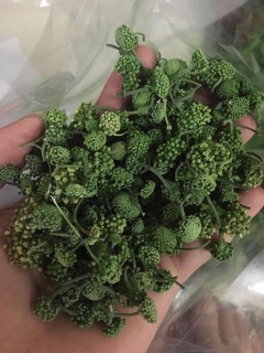 TRÀ NỤ HOA TAM THẤT
