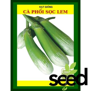 1G - Hạt Giống Cà phổi Sọc Lem Lai