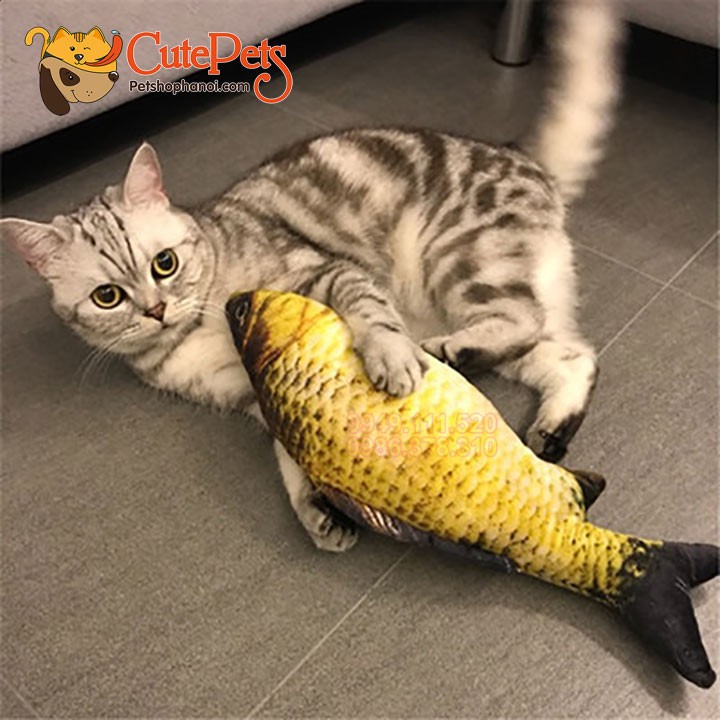 😸 Đồ chơi Cá bông dành cho mèo - CutePets