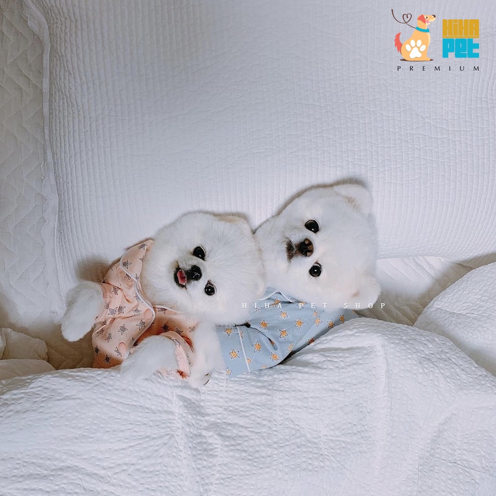 Áo Pijama Có Nón Chó Mèo (Pink) Hàn Quốc Quần Áo Thú Cưng Phủ Thuỷ Chuẩn Cao Cấp Hihapet.