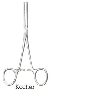 Panh inox pakistan cong, thẳng 16cm