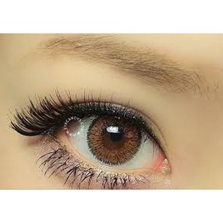 Nhập Peachydays Giảm 9k Đơn Từ 119k_ Lens Thái MÀU NÂU