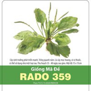 Hạt Giống Rau Mã Đề (Xạ Tiên Tử) Rado 359 gói 1gr Dễ Trồng, Tốt cho sức khỏe, Trồng Quanh Năm, Thu sau 35-40 ngày