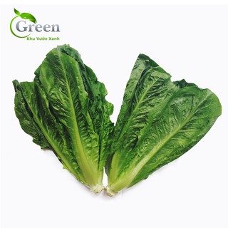 Hạt Giống Xà Lách Romaine Xanh Chịu Nhiệt Tốt, Trồng Quanh Năm