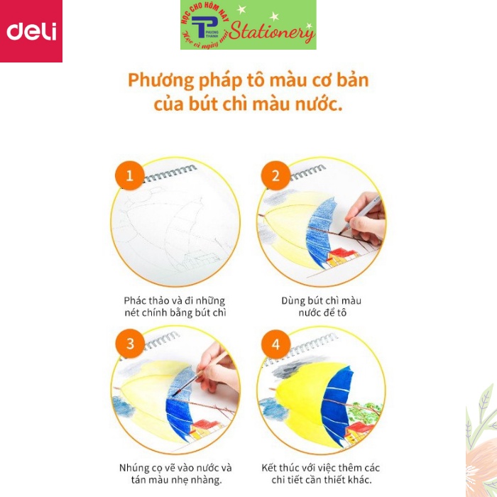 Bút chì màu nước cao cấp Deli - Có kèm cọ tán - Bộ 24 màu - 6521