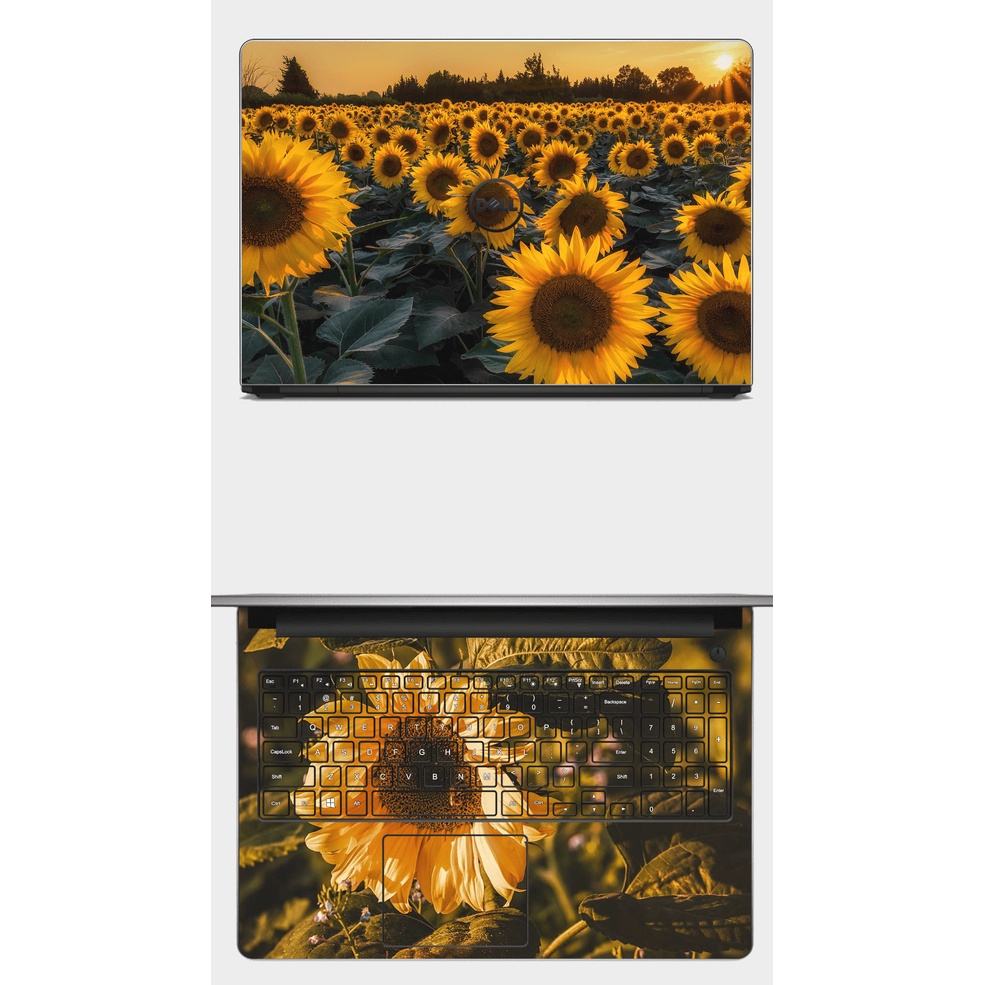 [SKIN HELIANTHUS ANNUUS] SKIN dán Laptop in hình hoa hướng dương. Full các loại máy: Asus, Dell,... In hình theo yêu cầu