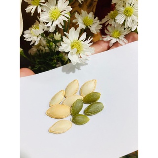 300g hạt bí ta rang muối giòn thơm