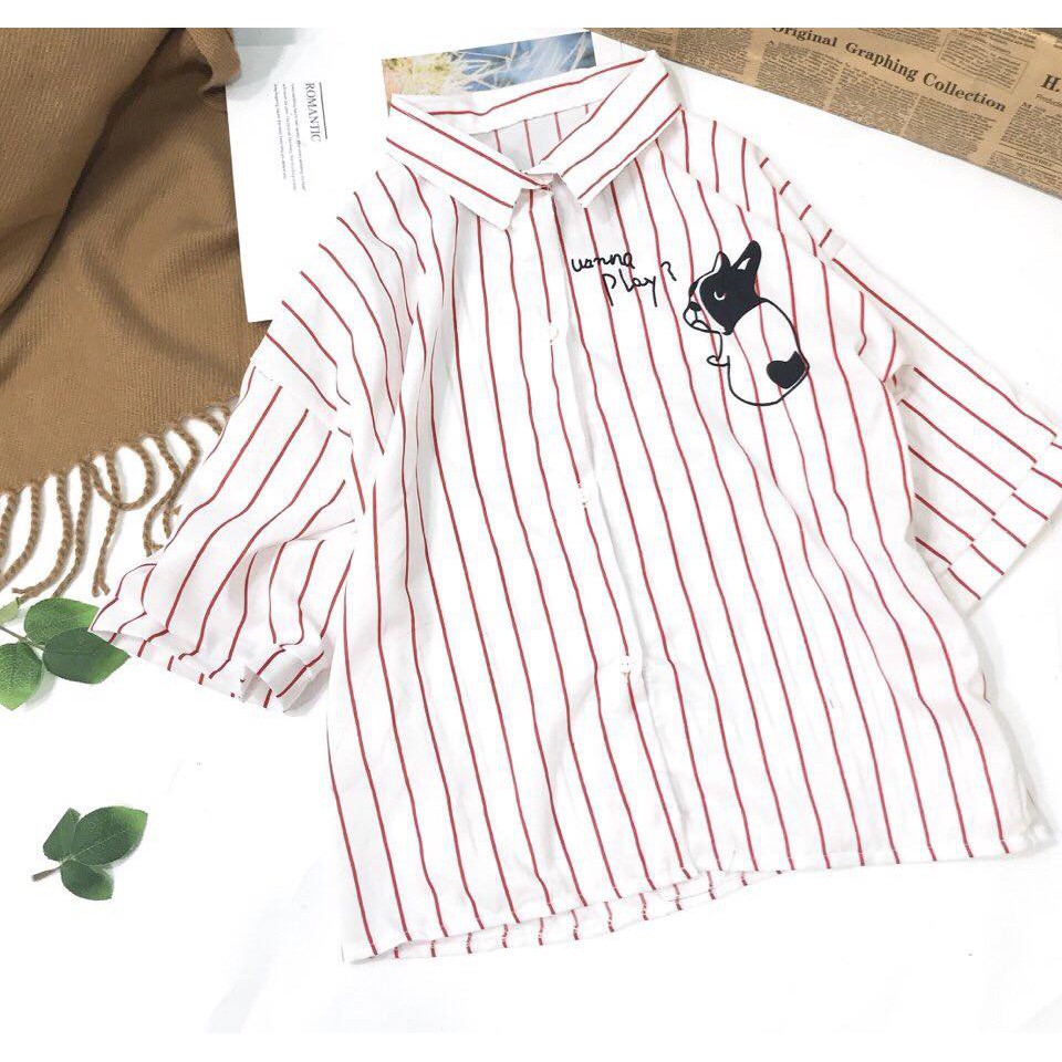 áo sơ mi trắng phối sọc cam đất, họa tiết hình mèo con ngộ nghĩnh