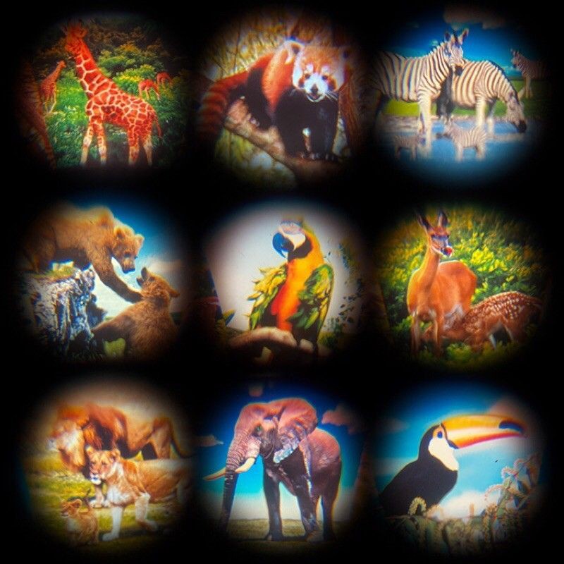 Đồ chơi máy chụp ảnh