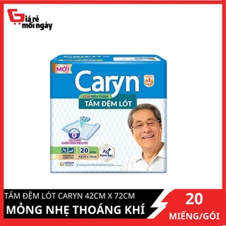 Tấm Đệm Lót Caryn Mỏng Nhẹ Thoáng Khí 42cm x 72cm 20 miếng gói