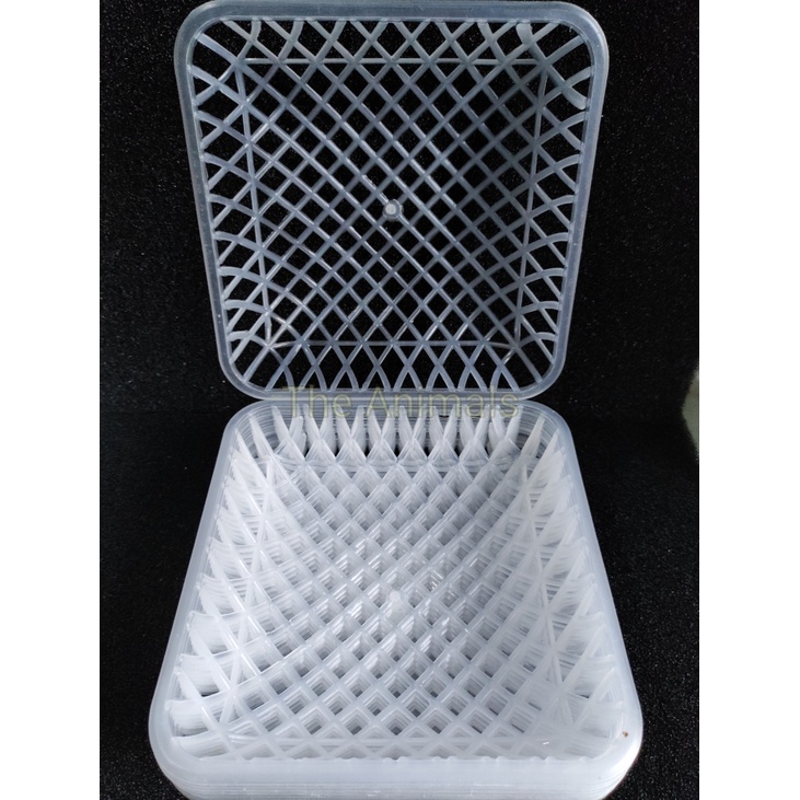 [10 cái] Rổ Đẻ Cho Chim Bồ Câu 20x20cm