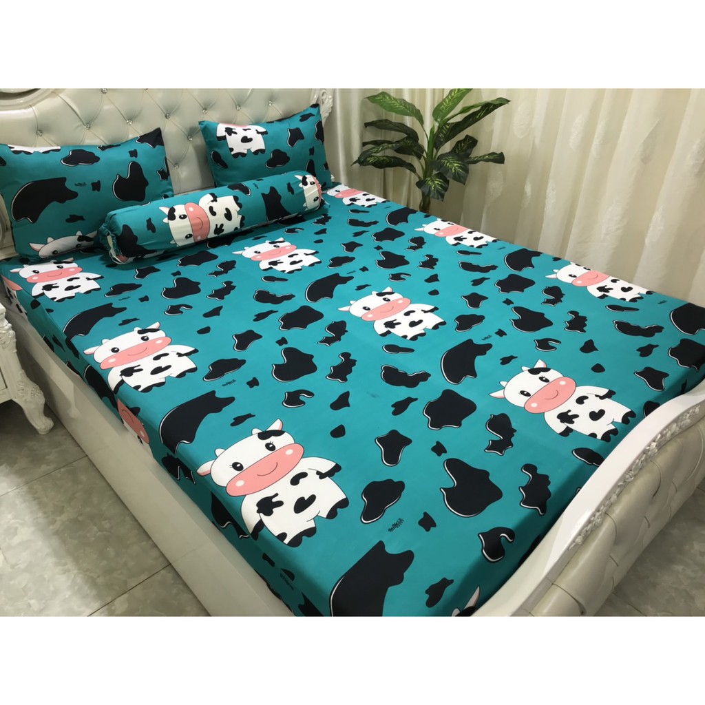 BỘ DRAP THUN HÀN QUỐC MÀU TRƠN 4 MÓN