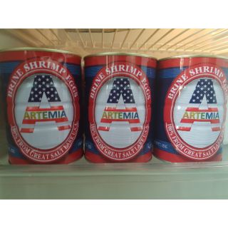 Artemia Mỹ 5 sao
