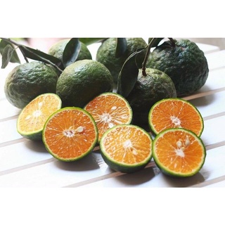 Cam Sành Loại 1 size 4-5 quả/kg