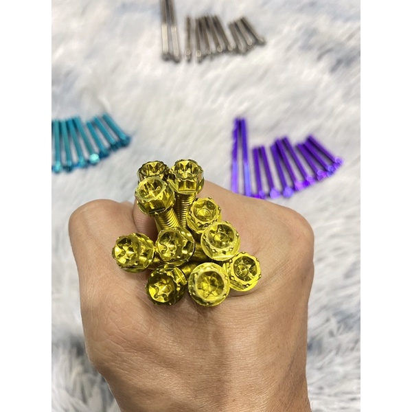 Ốc Titan Gr5 Lốc Nồi Bộ 10 Con Cho Vario 2017-2020