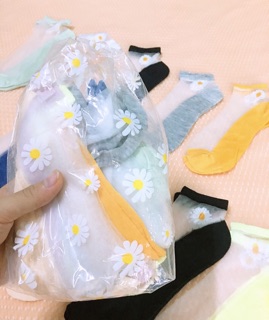 Sét 10 đôi tất lưới hoa cúc hot (sẵn )