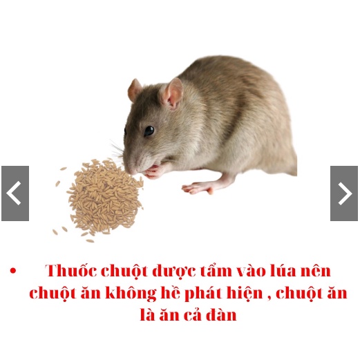 Thuốc diệt chuột trừ chuột thế hệ mới STORM 0.005% gói 20viên / gói gimlet 100g