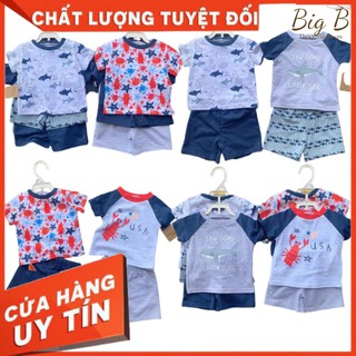Bộ cộc tay cho bé, bộ cotton bé trai chic size 3-24m