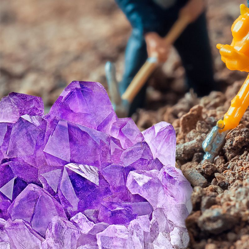 Bộ Đồ Chơi Đào Hóa Thạch Độc Đáo Cho Bé