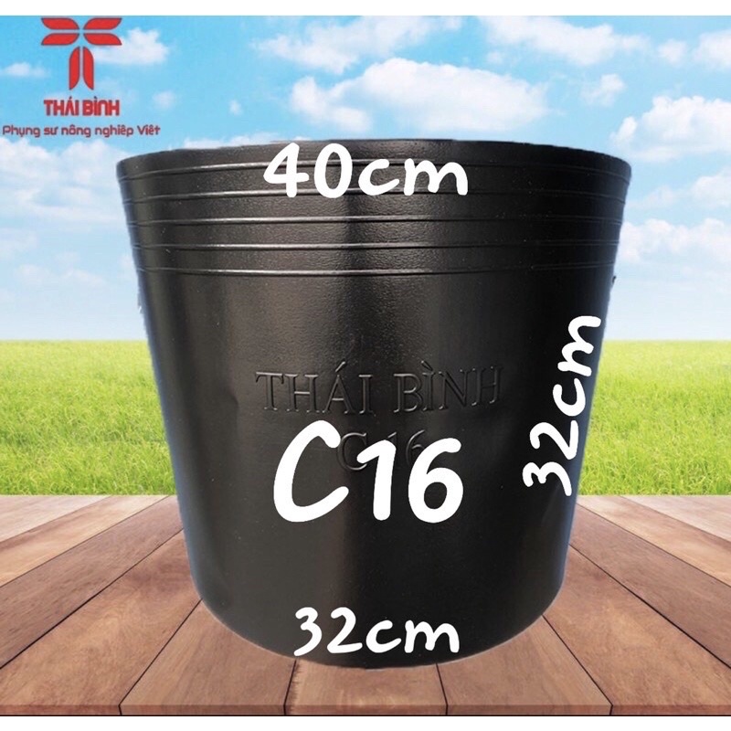 (Combo 100 cái) Chậu Nhựa Trồng Cây C16 ( Dày Dặn) - Chậu Nhựa Thái Bình