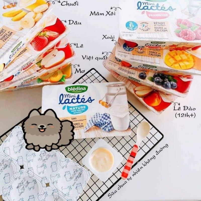 Sữa chua nguội Bledina Pháp lactes vỉ 6 hộp date 3/22