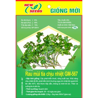 Hạt giống Rau mùi tía chịu nhiệt GM567 - Túi 50g