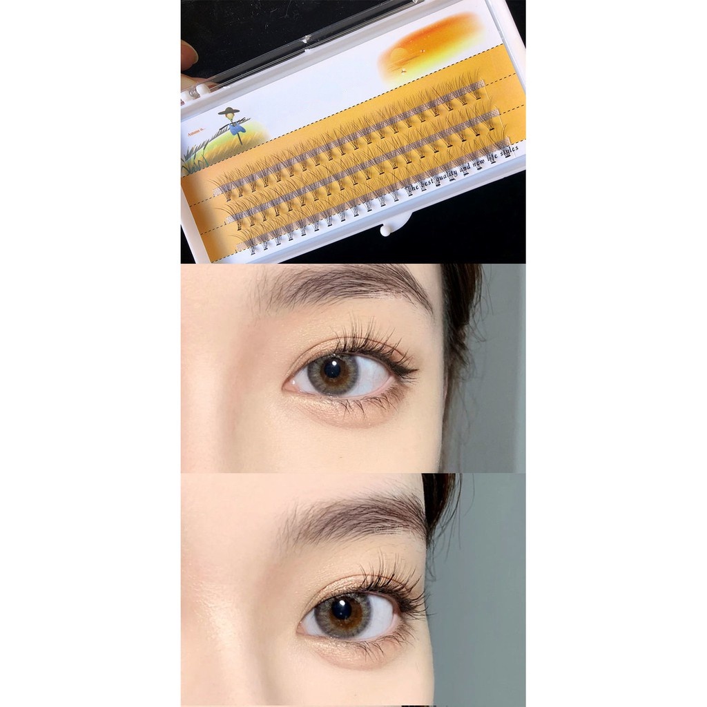 Set 60 Lông Mi Giả Tự Nhiên 10d 8 10 12mm Kèm 1 Dụng Cụ Hỗ Trợ Trang Điểm