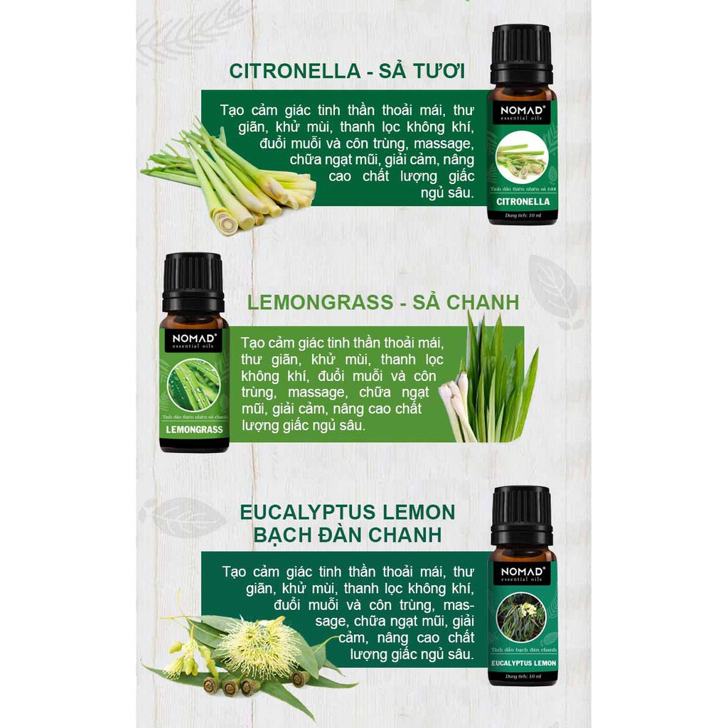 Combo 3 Tinh Dầu Nomad Giúp Thư Giãn Thoải Mái - Tạo Giấc Ngủ Sâu Sả Tươi (10ml) + Gỗ Thông (10ml) + Bạc Hà (10ml)