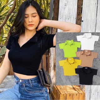 Áo thun cổ bẻ croptop chất đẹp