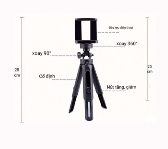 Chân Tripod Mini gắn kẹp điện thoại - máy ảnh - đèn livestream