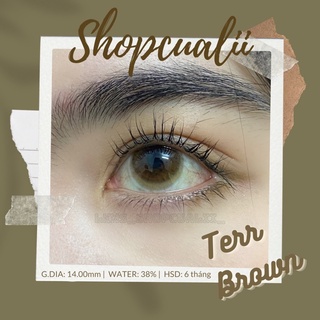 [Mã hiếm] Lens nâu trong Mel/Tee brown- 0 độ
