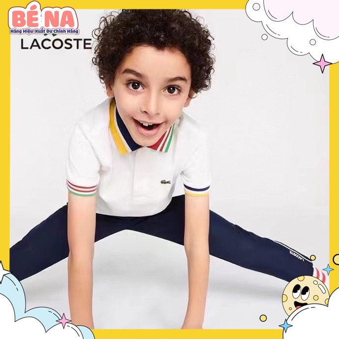 Áo phông lacoste trắng cổ kẻ