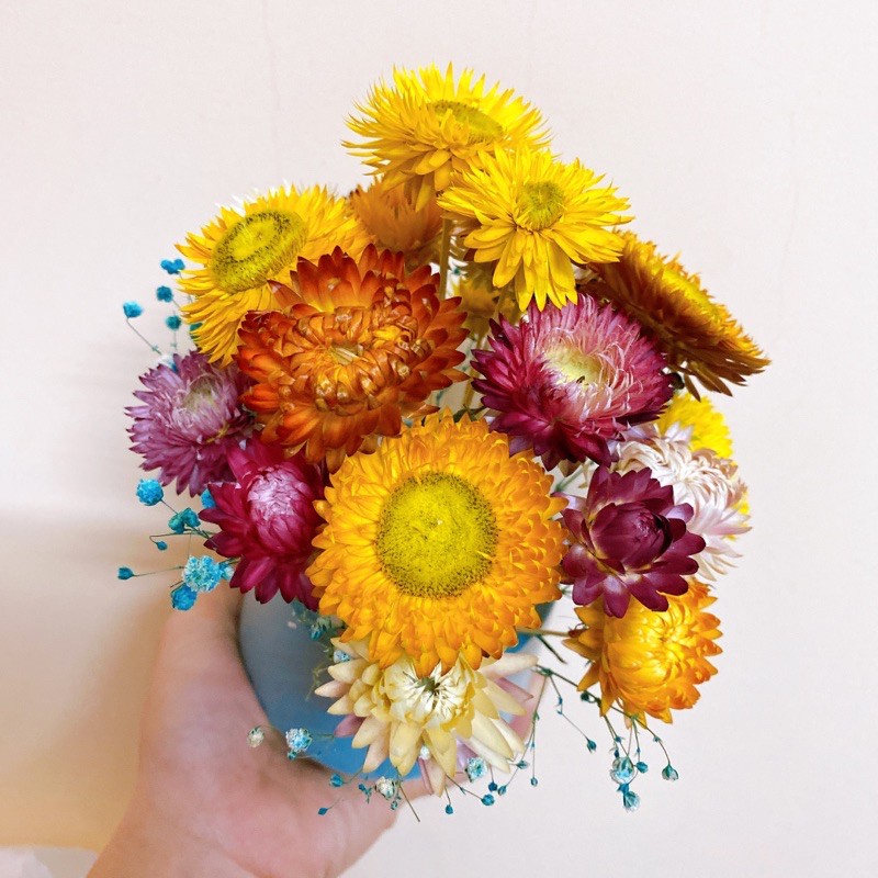 Lọ hoa cúc bất tử mix baby cực xinh (Size lớn)